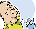 odour cat