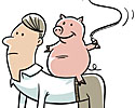 pig